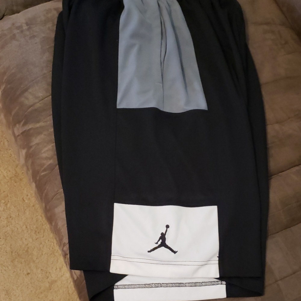 L Jordan jumpman pro